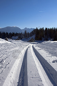 白雪路驾驶交通森林国家蓝色街道天气车轮天空小路图片