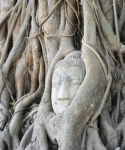佛祖之首信仰旅行雕塑佛教徒寺庙建筑学废墟文化假期古董图片
