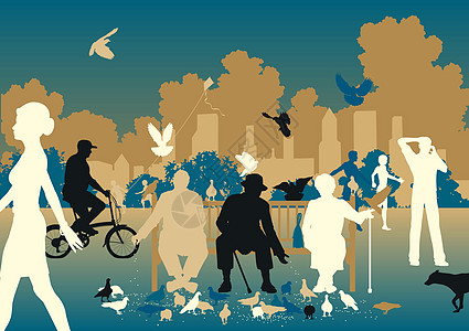喂养鸽子鸟类蓝色退休城市野生动物老年剪影插图公园消遣图片