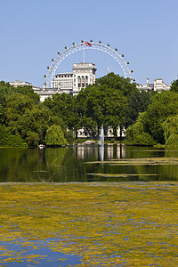 伦敦圣詹姆斯公园的景象景点地标荒野车轮旅行观光公园眼睛联盟树木图片