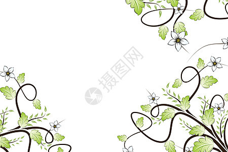 矢量花卉背景滚动漩涡曲线植物叶子插图背景图片