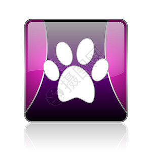 动物足迹紫色广场网络光亮图标图片