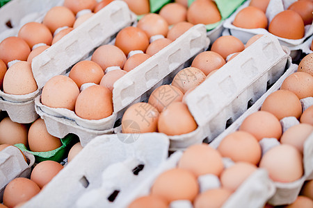 户外封闭市场 盒箱中的一组鸡蛋纸盒农场家禽宏观烹饪蛋盒早餐纸板脆弱性团体图片