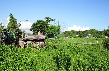 农村木制房屋天空生态花园公园蓝色房子场景季节森林丛林图片