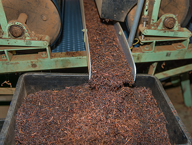 茶茶排序材料机器树叶食物财产浆纱机械生产工作产品图片