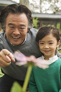祖父和孙孙女在花园里看花朵幸福服装智能活动退休园艺团结生长微笑孙女图片