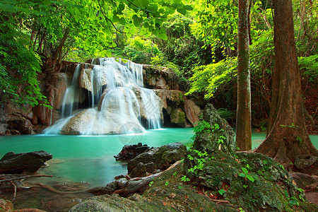 瓦伊马卡明瀑布运动天堂假期公园叶子岩石木头旅行蓝色衬套图片