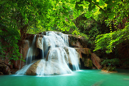 瓦伊马卡明瀑布环境假期天堂热带叶子荒野衬套丛林森林图片