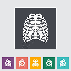 人类胸腔的图标插图科学身体卫生生物学生活药品胸骨解剖学保健图片