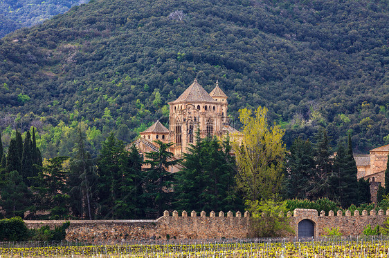 西班牙圣玛丽亚德波波特修道院树木宗教信仰石头大教堂上帝历史旅游遗产教会图片
