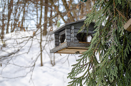 鸟饲料者钉在冬季有洞的小原木上图片