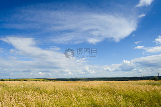 戏剧天空下的美丽小麦田天空收成季节金子大麦农业种子场景阳光植物图片