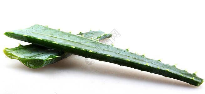 Aloe 阴阳植物芦荟汁凝胶面霜芦荟果汁白色概念图片