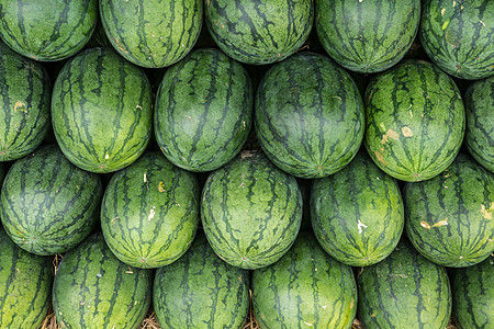 西瓜雕刻西瓜小吃农业食物太阳种子水果框架背景