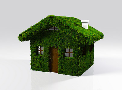 一座用草制成的房屋图片