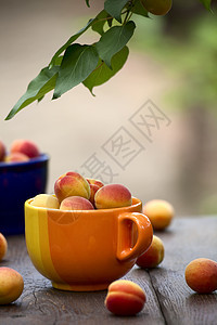 陶瓷碗中的杏子图片