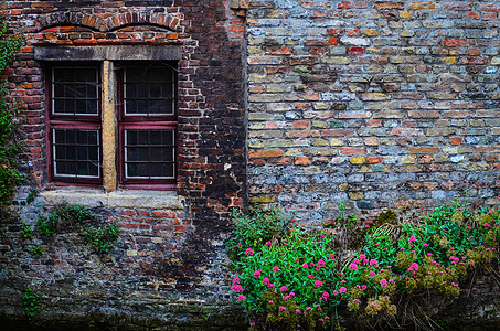 旧旧砖墙 有生锈的窗户和鲜花图片