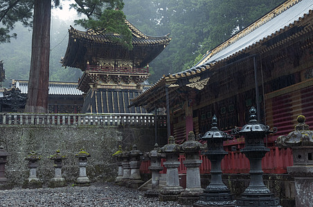 森林插画Nikko 托绍古神社背景