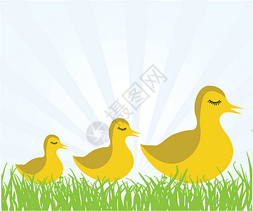 年轻小鸡的伊利斯特莱顿婴儿账单插图卡通片羽毛团体动物艺术黄色蹼状图片