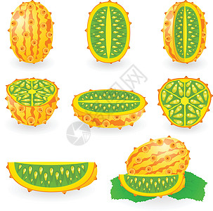 基瓦诺电脑热带收藏小吃网络食物情调异国插图黄瓜图片