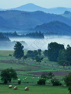 雾中的夜色风景天空旅行土地季节薄雾植物阳光生态阴霾蓝色图片