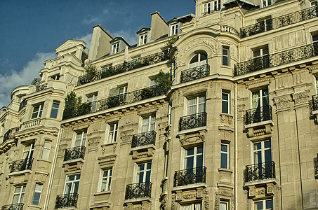巴黎 美丽的古建筑 在冬日的冬天图片