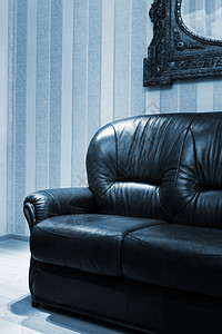 皮沙发层压条纹反射蓝色皮革塑料地面长椅住宅长沙发图片