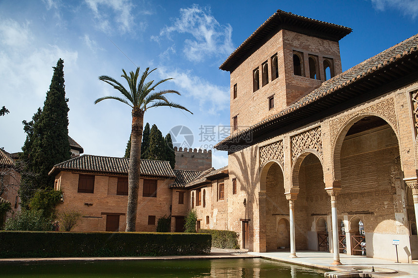 在格拉纳达的Alhambra植物旅行地标树木风格棕榈建筑女士大厦历史图片