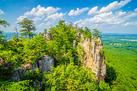 美美丽的空中风景 来自北山的拥挤者国家树叶森林绿色松树远足公园季节晴天数控图片