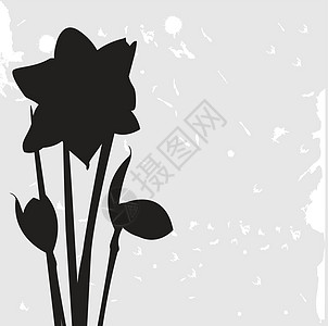 背面的 Dafodills 矢量插图文化团体花瓣花束绘画花园水仙花叶子水仙白色图片
