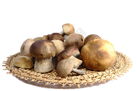 白色背景的树枝盘里的蘑菇森林柳条烹饪娱乐季节篮子产品生长食物远足背景图片