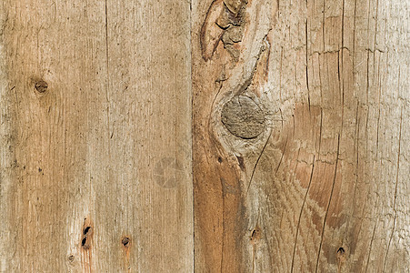 棋盘木材控制板树木乡村商业橡木建筑装饰松树建造图片