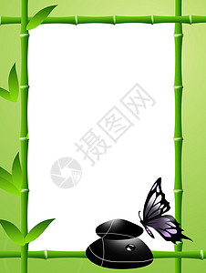 竹竹框皮肤生长巨石温泉福利植物边界平衡绿色蝴蝶图片