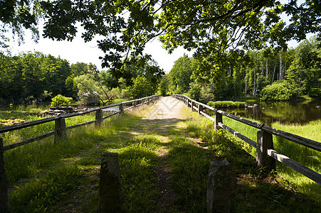 瑞典的桥梁大路牧歌公园气氛溪流花园背景图片