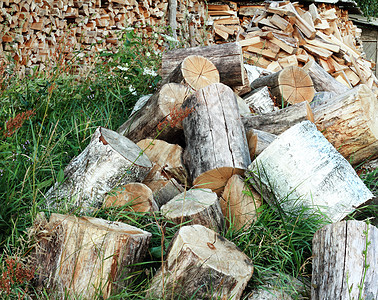 用来做木柴树干用的锯子农村乡村柴火火炉图片