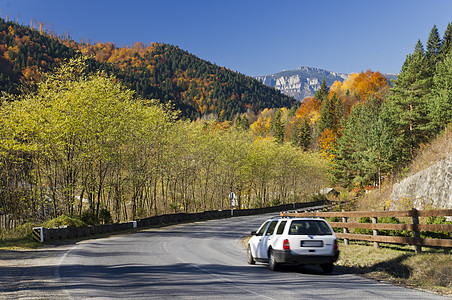 车 路秋天的山路运输曲线叶子森林乡村速度车辆树木村庄假期背景