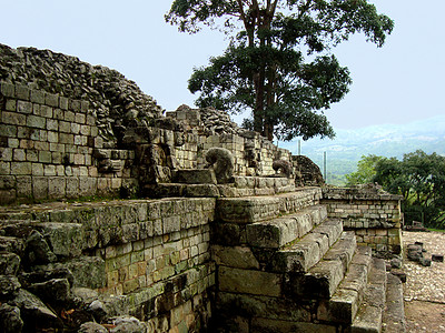 洪都拉斯的玛雅建筑和椰干废墟图片