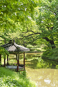 南科雷亚南部汉城的花园池塘旅游建筑物旅行吸引力游客图片