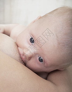 婴儿哺乳期的特写女性人类团结童年部位头肩吮吸两个人手臂脆弱性图片