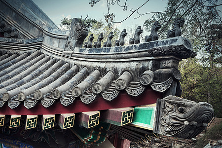 在中国大厦上 特写了板块的屋顶瓷砖代表目的地野兽摄影正方形建筑天空水平省会文化图片
