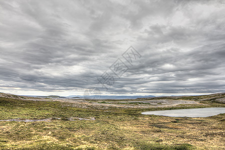 挪威北部地貌景观旅行岩石风景苔藓天空海滩石头苔原地平线草地背景图片