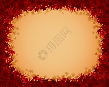 秋季边界红色季节枫树绘画插图叶子图片