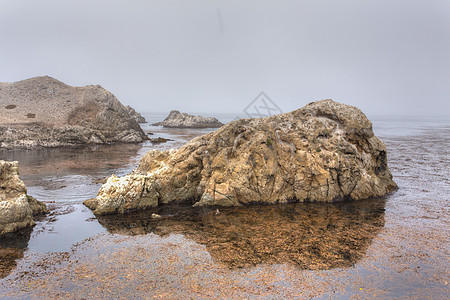 在洛博斯角国家海洋保护区的显形岩层形成情况波浪栖息地崎岖生态国家海景活力保护区野生动物海洋图片