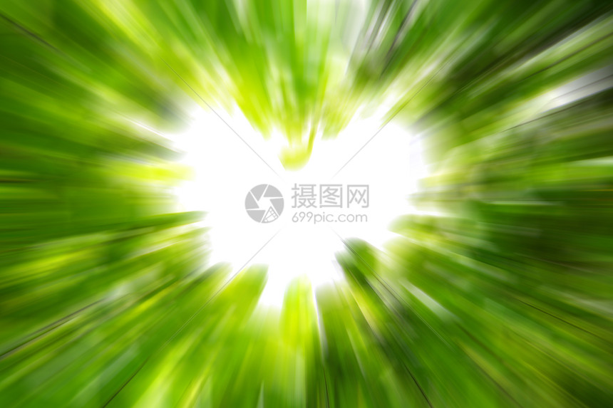 爱的自然概念运动叶子绿色生活环境树干森林木头天空白色图片