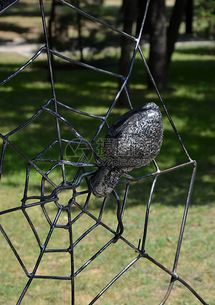 铁丝网上的伪造金属蜘蛛网络陷阱八角形捕食者昆虫图片