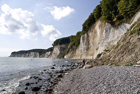 鲁根岛树木粉笔海岸悬崖石头海滩白色绿色白垩图片
