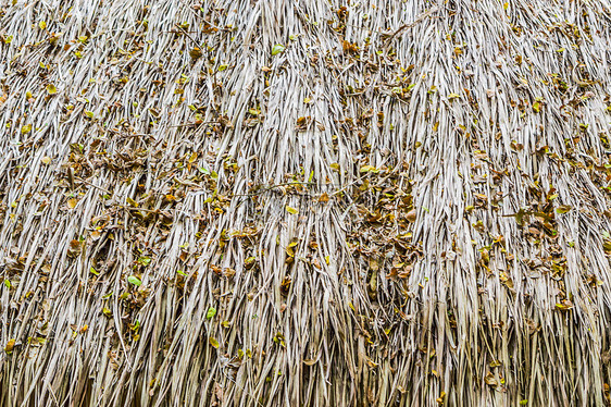 草地的屋顶热带稻草房子茅草干草屋顶棕色异国小屋纹理图片