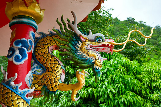 德拉科 龙蓝色寺庙氏族狮子传统柱子装饰品房子宗教艺术图片