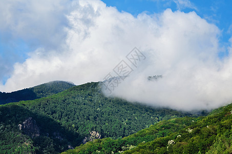 喀尔巴阡山山脉林地多云天空白云森林图片