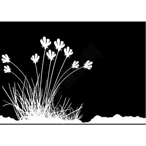 带花草的青草艺术黑色创造力剪影花朵曲线插图漩涡植物学艺术品图片